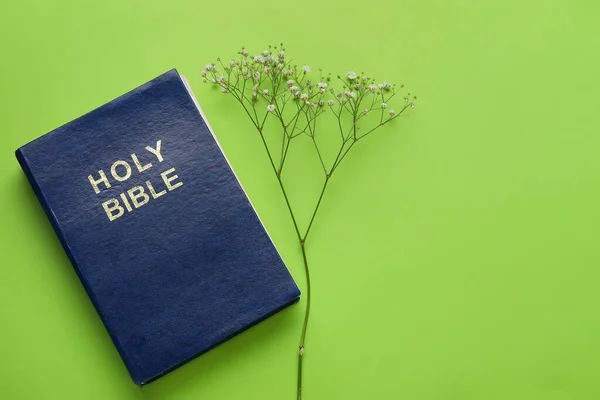 Holy Bible Flowers Color Background — Stock Photo, Image