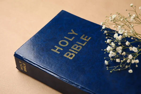 Holy Bible and flowers on color background, closeup