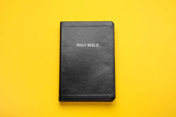Bible Svatá Barevném Pozadí — Stock fotografie
