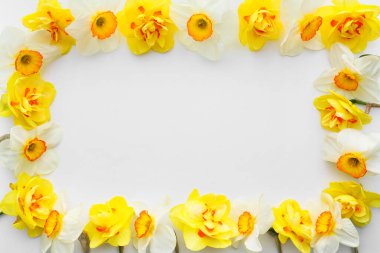 Beyaz arkaplanda güzel narsisli çiçeklerden yapılmış çerçeve