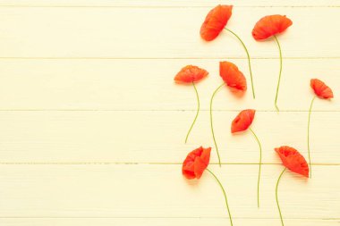 Renkli ahşap arka planda güzel kırmızı gelincik çiçekleri