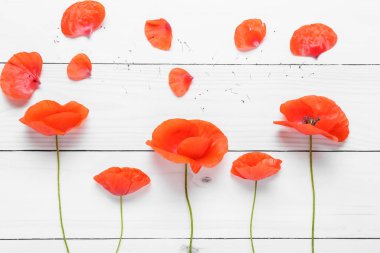 Açık ahşap zemin üzerinde güzel kırmızı gelincik çiçekleri