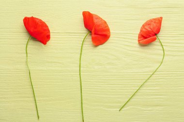 Renkli ahşap arka planda güzel kırmızı gelincik çiçekleri