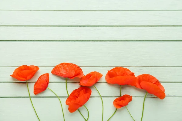 Beautiful Red Poppy Flowers Color Wooden Background — Stock Photo, Image