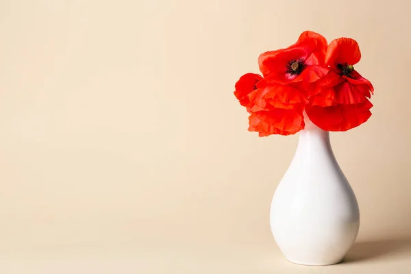 Wazon Pięknymi Czerwonymi Kwiatami Maku Tle Koloru — Zdjęcie stockowe