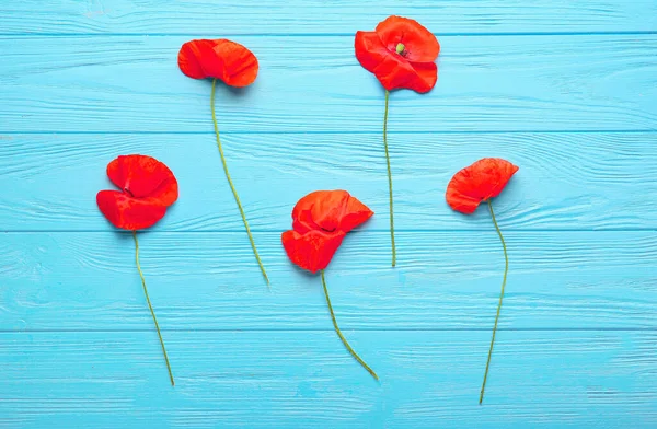 Beautiful Red Poppy Flowers Color Wooden Background — Stock Photo, Image