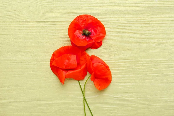 Mooie Rode Papaver Bloemen Kleur Houten Achtergrond — Stockfoto