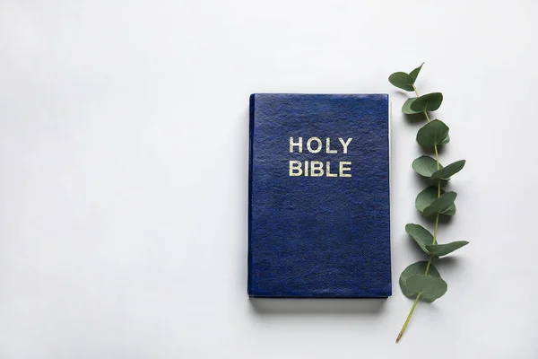 Bíblia Sagrada Ramo Eucalipto Fundo Claro — Fotografia de Stock