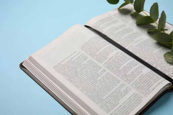 Otevřít Bibli Svatou Eukalyptovou Větev Barevném Pozadí Detailní Záběr — Stock fotografie