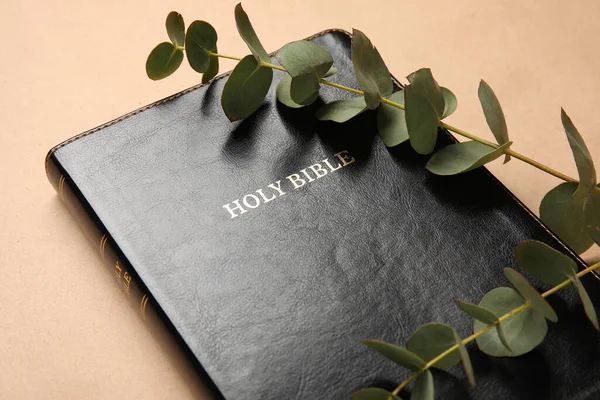 Holy Bible Eucalyptus Branch Color Background Closeup — Stock Photo, Image