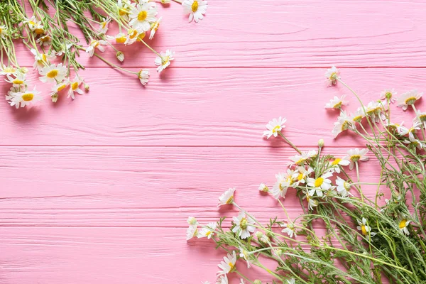 Beautiful Chamomile Flowers Color Wooden Background — Stock Photo, Image