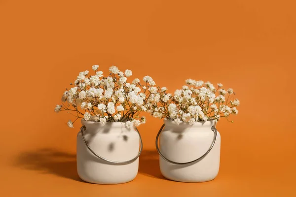 Vases Beautiful Gypsophila Flowers Color Background — Stock Photo, Image