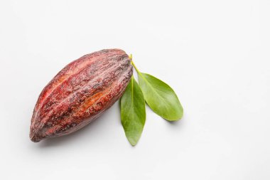 Gri arka planda taze kakao meyvesi