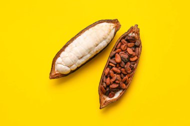 Renkli taze kakao meyvesi ve fasulye.