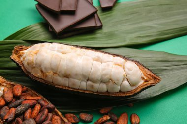 Taze kakao meyvesi, fasulye ve çikolata.