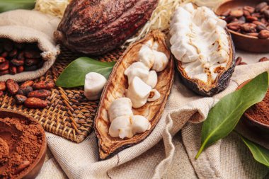 Taze kakao meyveleri, fasulye ve pudra içeren kompozisyon.