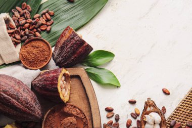 Hafif arkaplanda taze kakao meyveleri, toz ve fasulye bileşimi