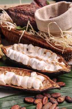 Taze kakao meyveleri ve fasulyeler masada.