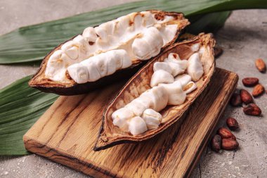 Taze kakao meyveli kompozisyon ve grunge arkaplanda yapraklar