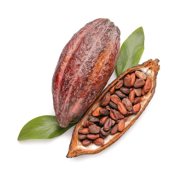 Frutta Fresca Cacao Fagioli Sfondo Bianco — Foto Stock