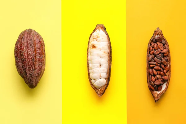 Fresh Cocoa Fruits Beans Color Background — Stock Photo, Image