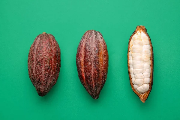 Fresh Cocoa Fruits Color Background — Stock Photo, Image