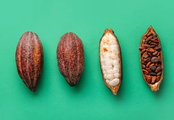 Fresh cocoa fruits and beans on color background