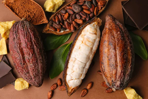 Frutas Frescas Cacao Frijoles Polvo Mantequilla Chocolate Sobre Fondo Color — Foto de Stock