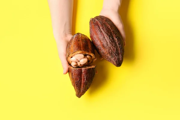 Woman Holding Fresh Cocoa Fruits Color Background — Stock Photo, Image