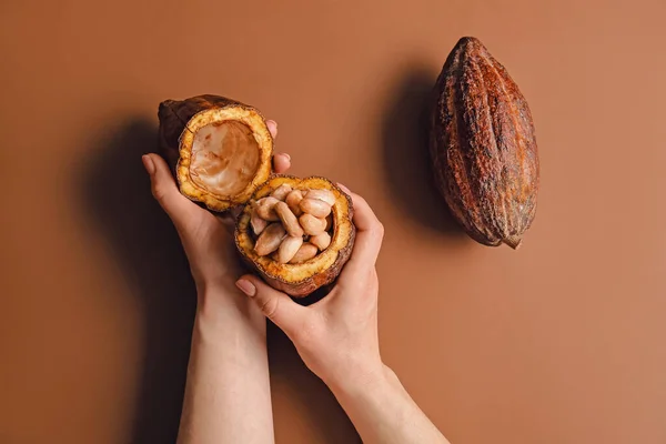 女性保持新鮮なココアフルーツ上の色の背景 — ストック写真