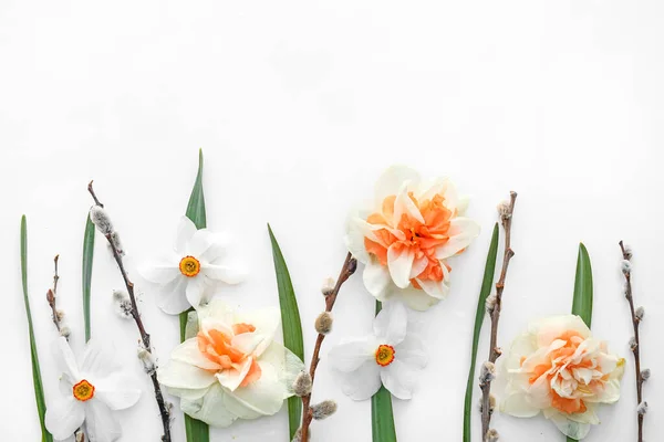 Hermosas Flores Narcisas Sobre Fondo Blanco — Foto de Stock