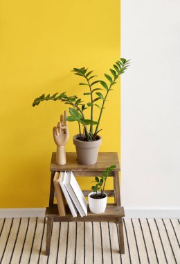 Renkli duvarın yanında duran modern şık odanın içinde.