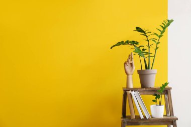 Renkli duvarın yanında duran modern şık odanın içinde.