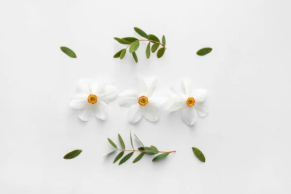 Prachtige Compositie Met Narcissen Witte Achtergrond — Stockfoto