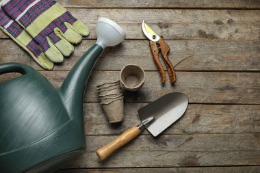 Su kovası, turba kapları ve ahşap arka planda bahçe aletleri.