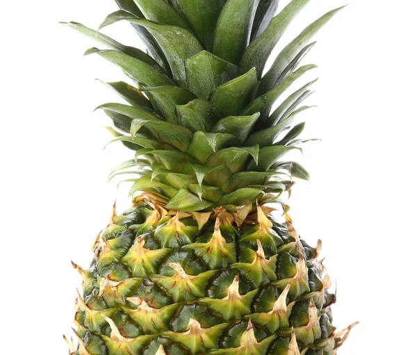 Verse Ananas Witte Achtergrond — Stockfoto