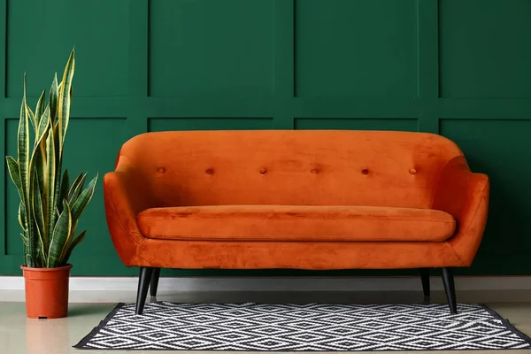 Stylish Sofa Houseplant Color Wall — Stock Photo, Image