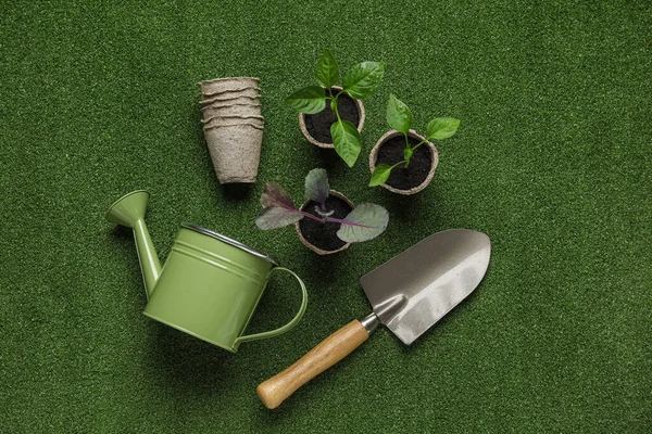 Watering Can Plants Seedlings Peat Pots Gardening Shovel Color Background — Stock Photo, Image