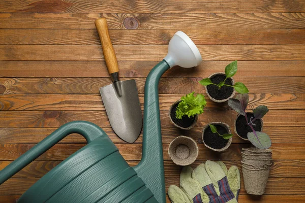 Watering Can Plants Seedlings Gardening Tools Wooden Background — Stock Photo, Image