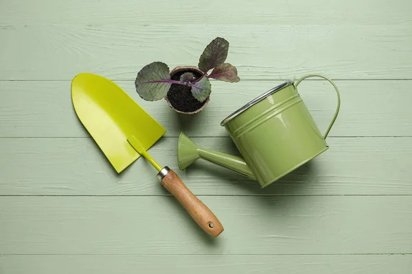 Water Kan Plant Zaailing Tuinieren Schep Kleur Houten Achtergrond — Stockfoto