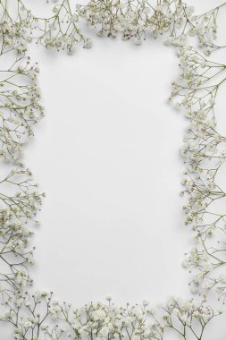 Renkli arkaplanda güzel çigila çiçeklerinden yapılmış çerçeve