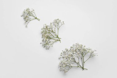 Beyaz arka planda güzel çigila çiçekleri