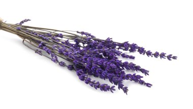 Beyaz arkaplanda güzel lavanta çiçekleri