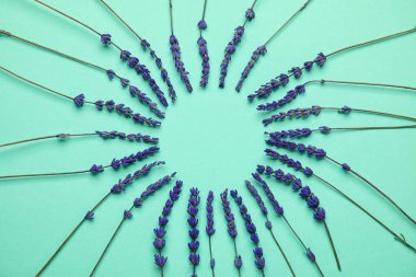 Renkli arkaplanda güzel lavanta çiçeklerinden yapılmış çerçeve