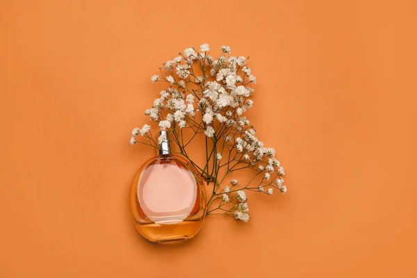 Mooie Gypsophila Bloemen Parfum Kleur Achtergrond — Stockfoto