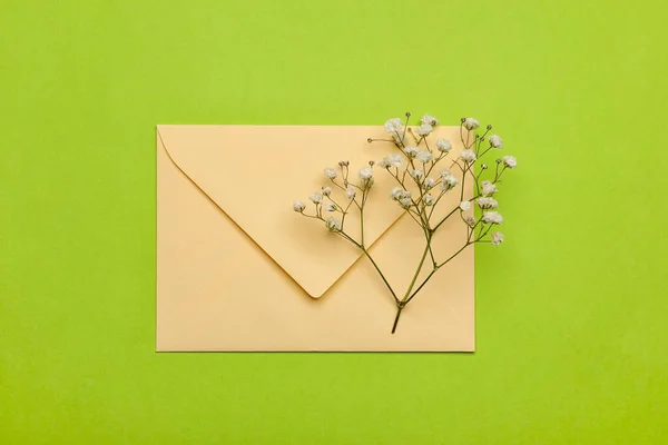 Lindas Flores Gypsophila Envelope Sobre Fundo Cor — Fotografia de Stock