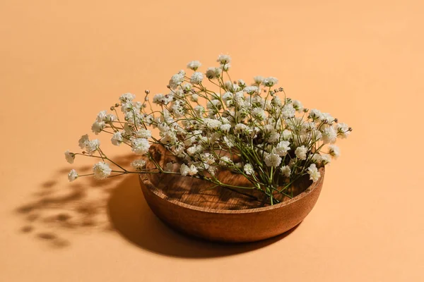 Plate Beautiful Gypsophila Flowers Color Background — Stock Photo, Image