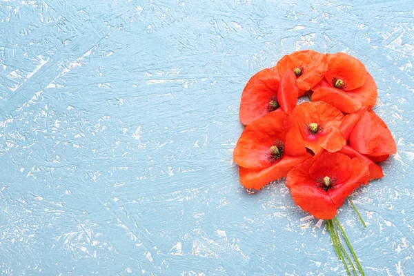 Mooie Rode Papaver Bloemen Kleur Achtergrond — Stockfoto