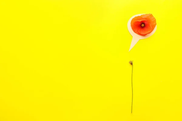 Poppy Flower Speech Bubble Color Background — Stock Photo, Image