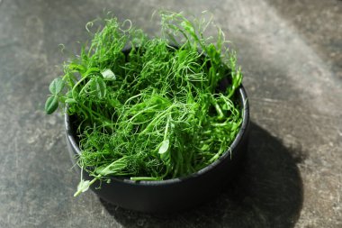 Koyu arkaplanda taze mikro yeşil kabı var.